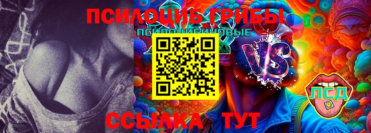 Боровичи  Галлюциногенные грибы Cubensis  сколько стоит  Вход с VPN 